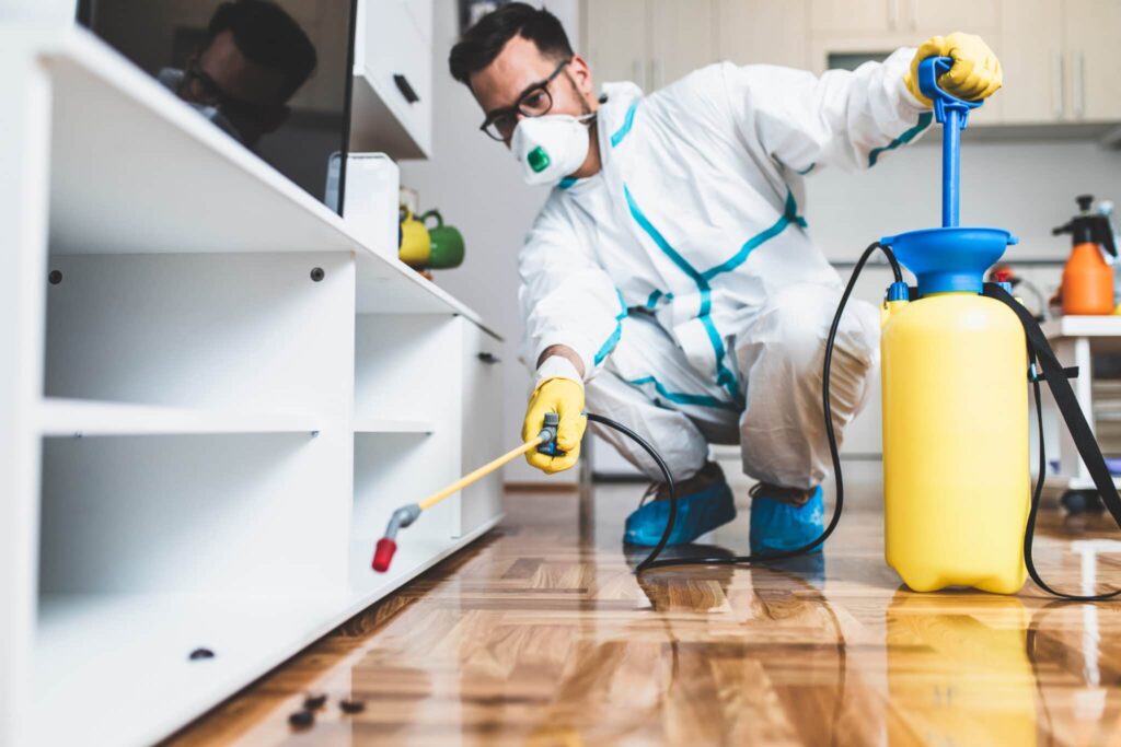 pest control